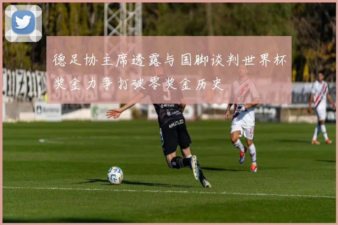德足协主席透露与国脚谈判世界杯奖金力争打破零奖金历史