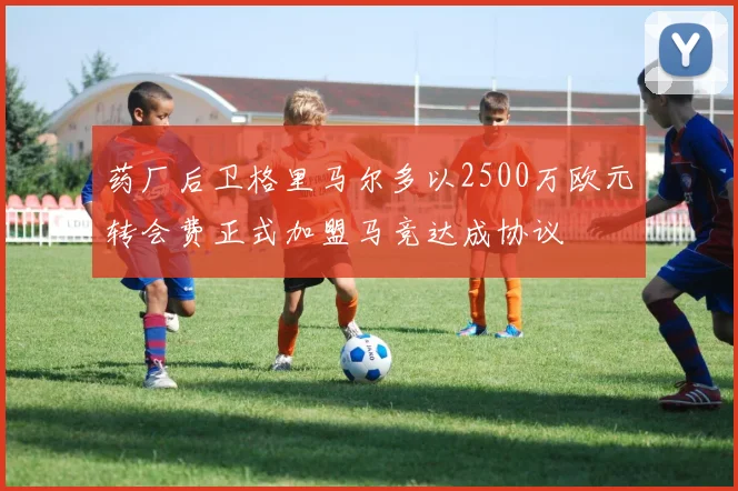 药厂后卫格里马尔多以2500万欧元转会费正式加盟马竞达成协议